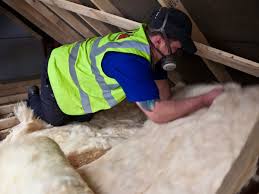 Best Insulation Removal  in Matteson, IL