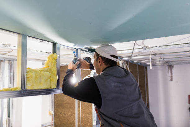 Best Insulation Air Sealing  in Matteson, IL