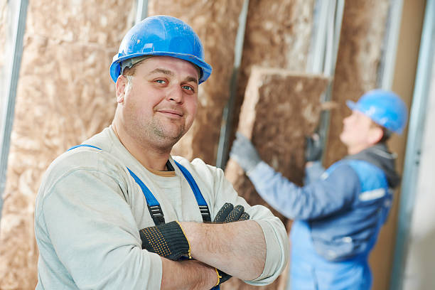 Best Commercial Insulation Services  in Matteson, IL